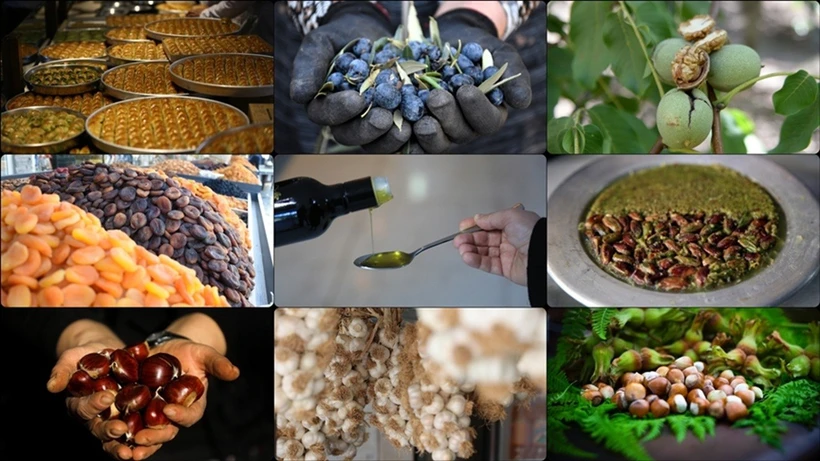 81 TÜRKİYE ÜRÜNÜ AB TESCİL SIRASINDA AB TESCIL