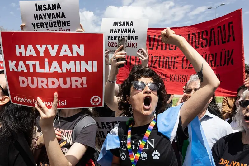 AYM KARARINA HAYVANSEVERLER NE DİYOR?