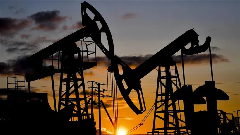Petrol Son 5 Ayın Zirvesinde 1 IMG 0030 1