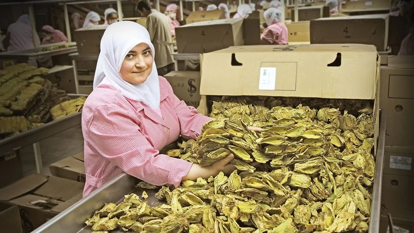 Tütün İhracatı 1 Milyon Dolar Arttı